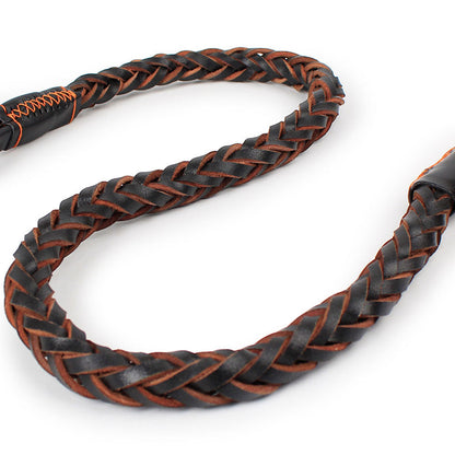 Black Traction Leash