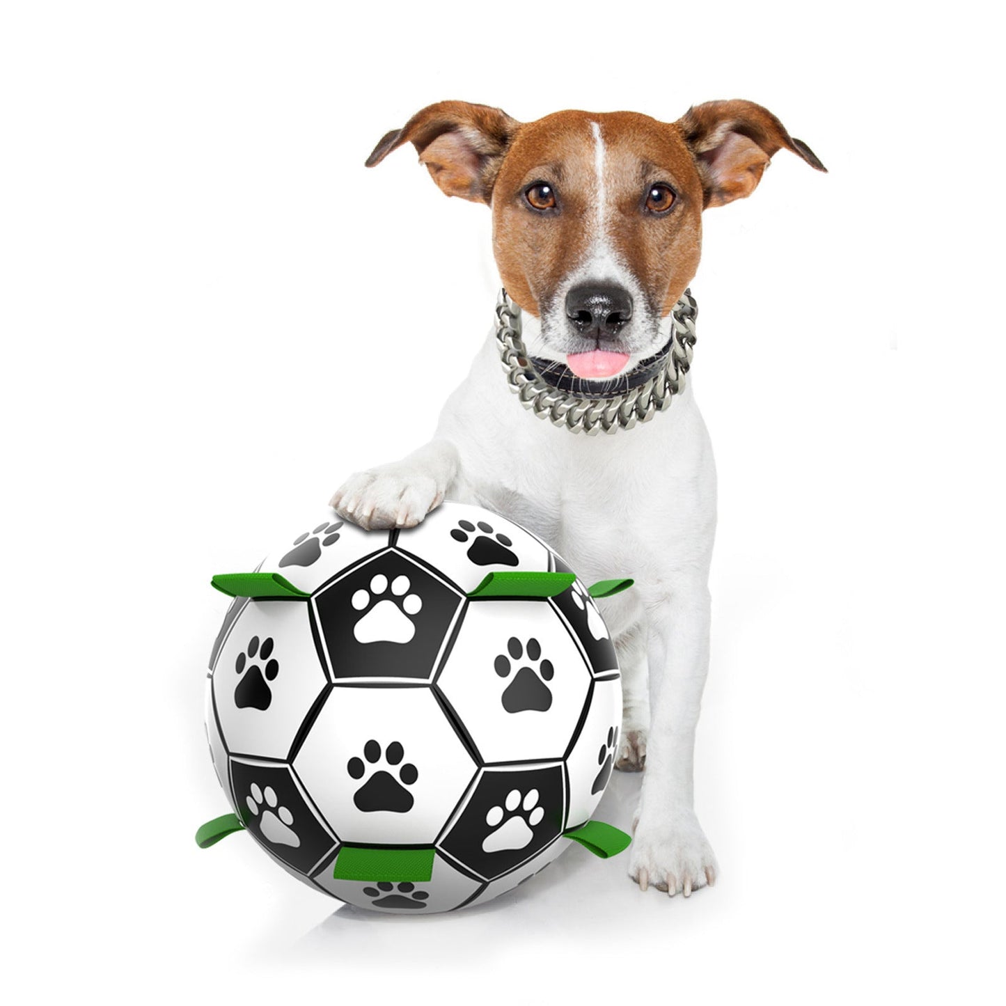 Interactive Dog Toy Ball