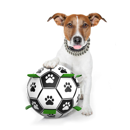 Interactive Dog Toy Ball