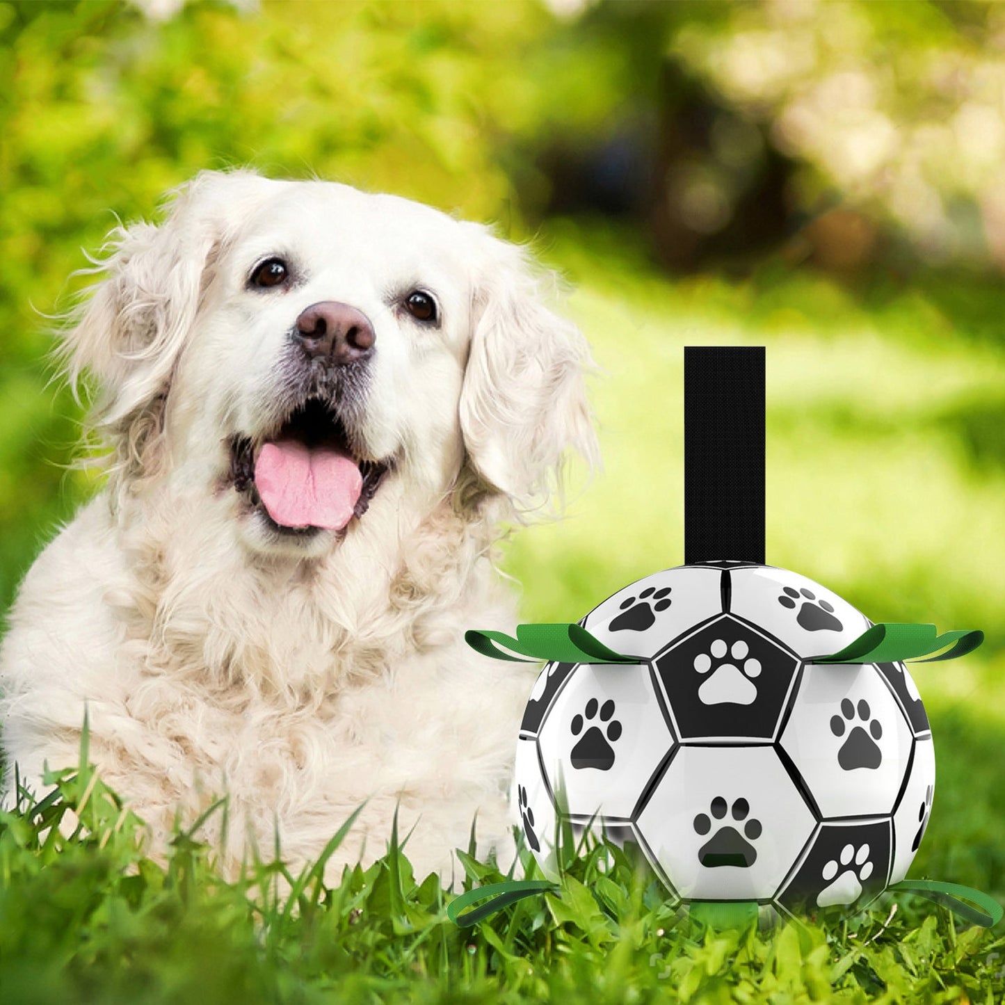 Interactive Dog Toy Ball