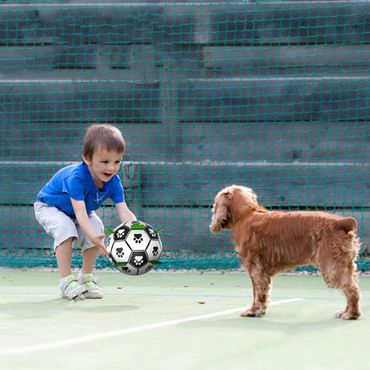 Interactive Dog Toy Ball