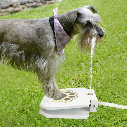 Step-Activated Dog Fountain