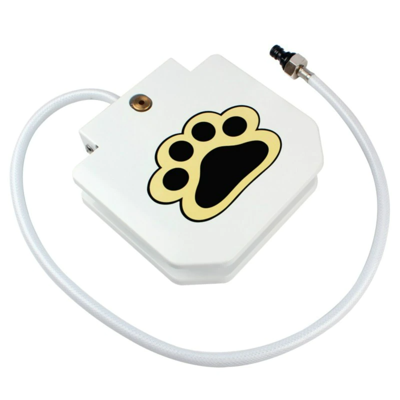 Step-Activated Dog Fountain