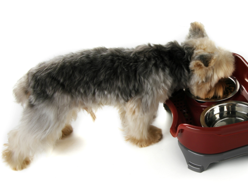 Splashproof Feeding Bowls