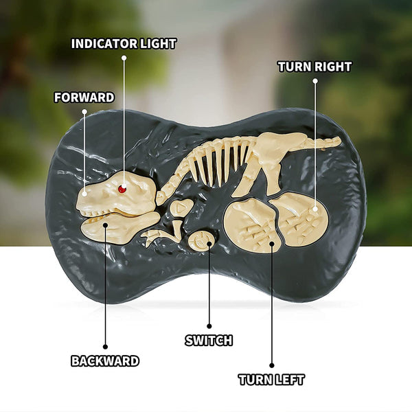 Remote Control Dinosaur