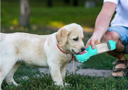 Multi-functional Water Bottle