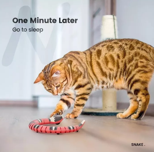 Smart Sensing Snake Cat Toys