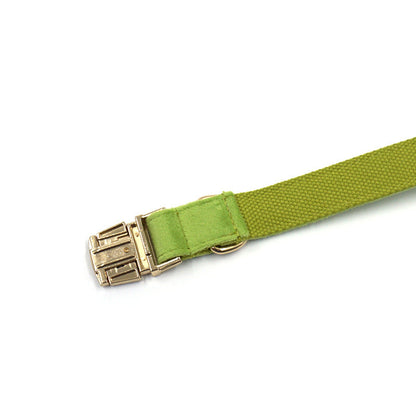 Matcha Green Velvet Collar