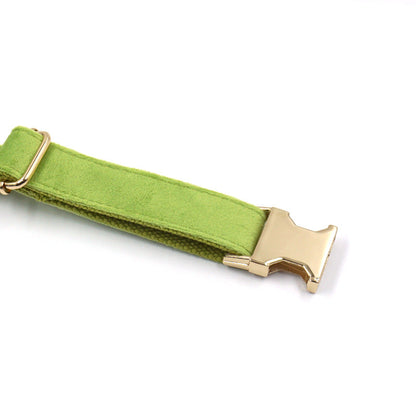 Matcha Green Velvet Collar