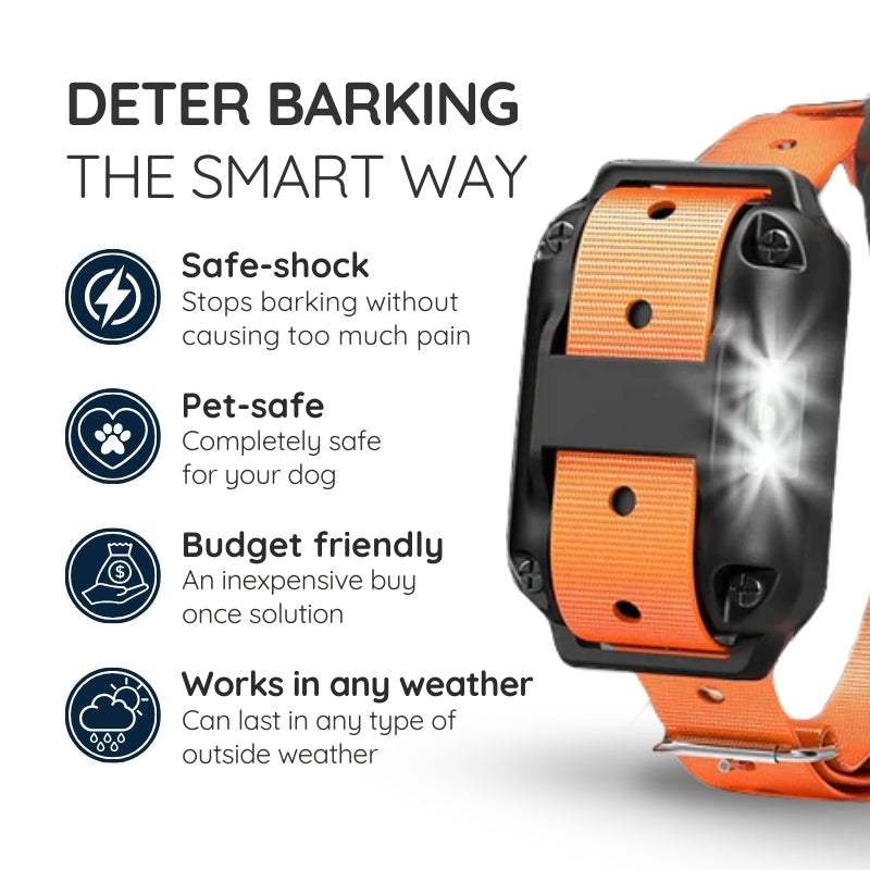 Remote Dog Training Collar