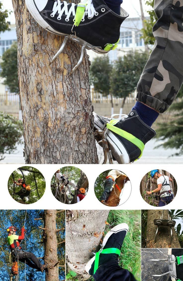 Tree Climbing Spikes | Tree Climbing Gear