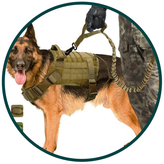 Tactical Harness v2