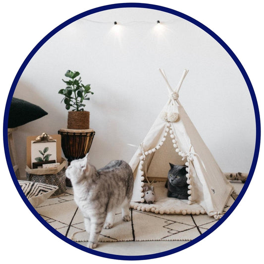 Bohemian Pet TeePee