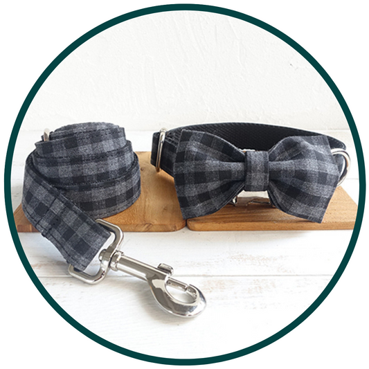 Gray Check Collar and Leash