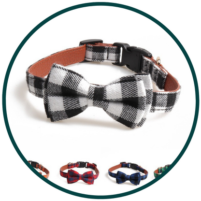 Plaid Collar