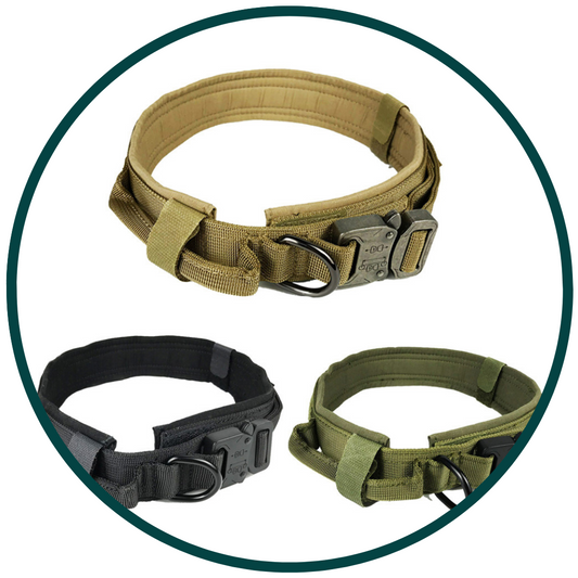 Tactical Dog Collar