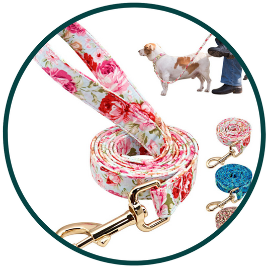 Pattern Leash