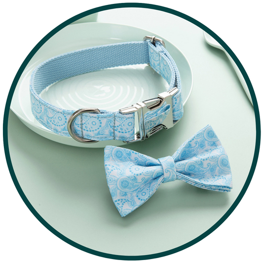 Light Blue Print Bow and Collar