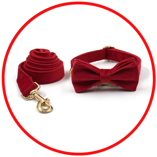 Deluxe Red Velvet Bow, Collar and Leash