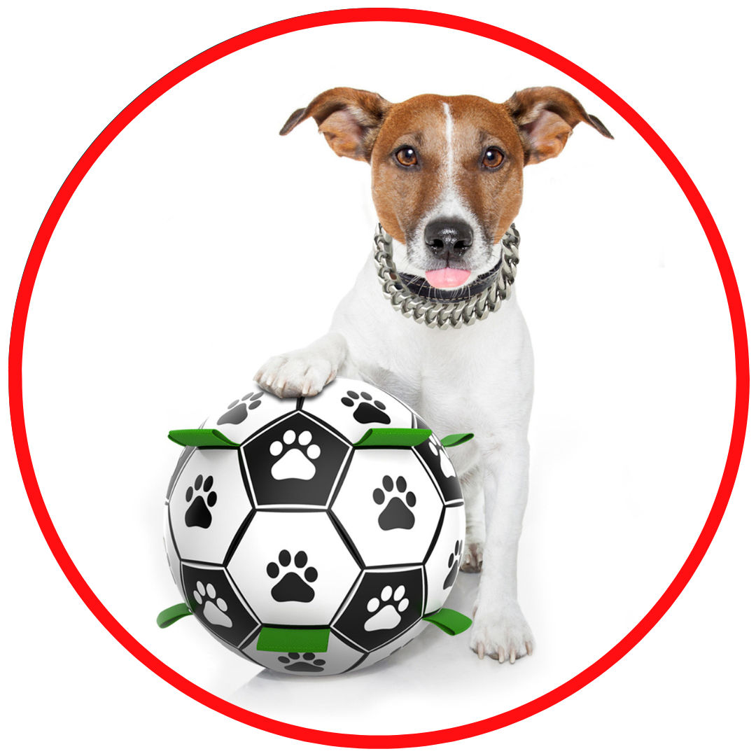 Interactive Dog Toy Ball