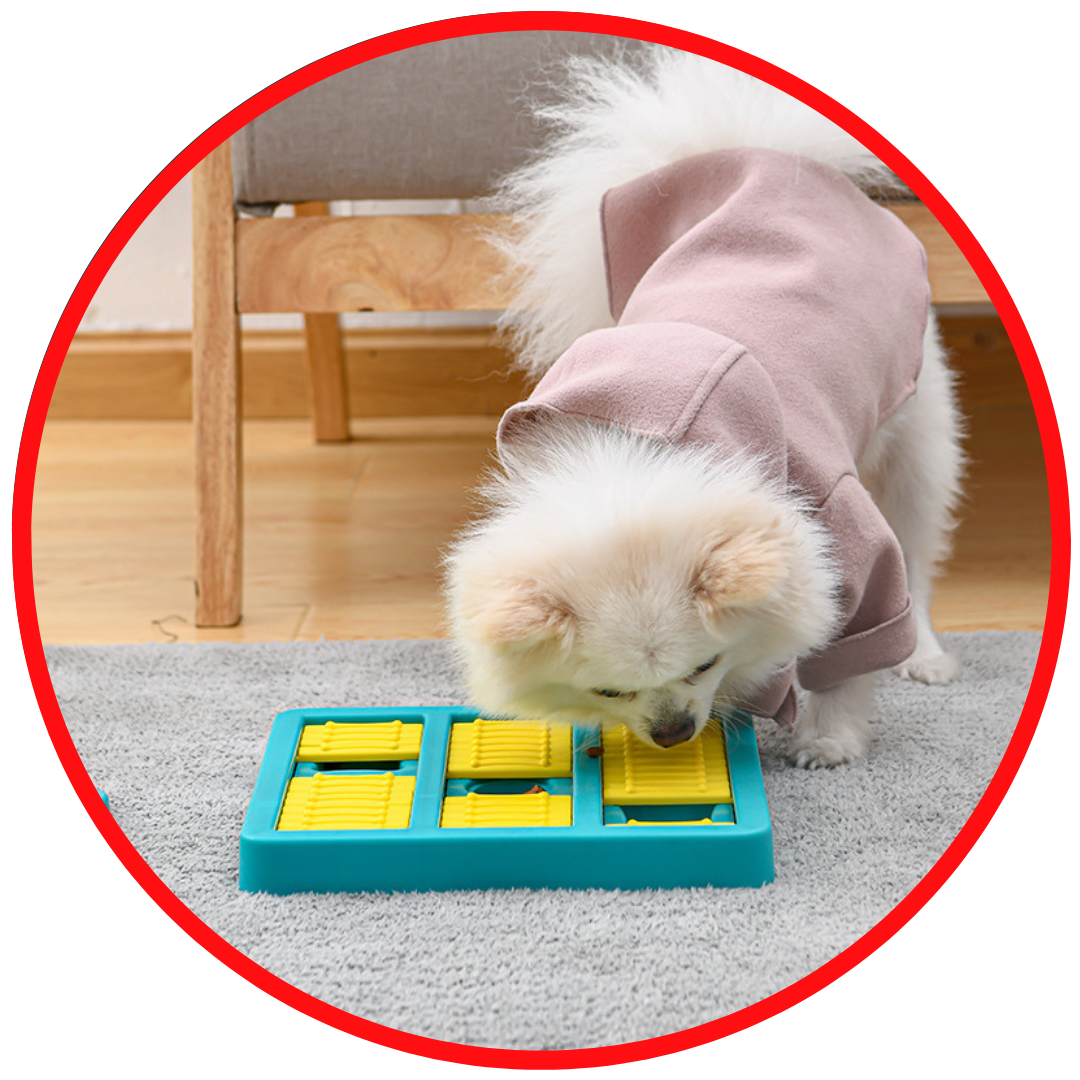 Rotating Interactive Educational Dog Toy