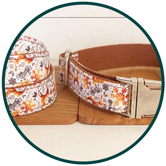 Autumn Print Collar and Leash