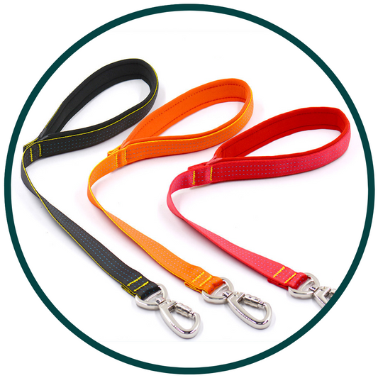 Big Dog Traction Leash