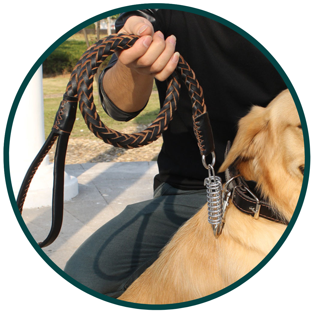 Black Traction Leash