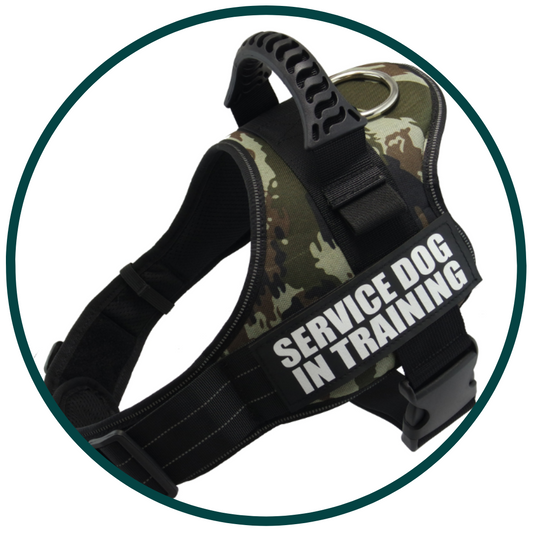 'Service Dog' Harness