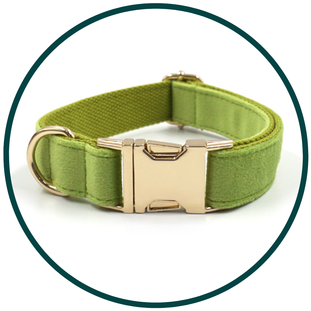 Matcha Green Velvet Collar