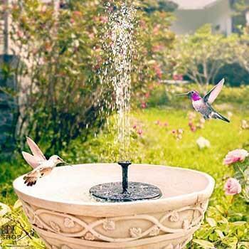 Solar-Powered Easy Bird Fountain Kit