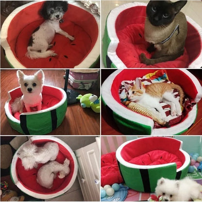 Watermelon Bed